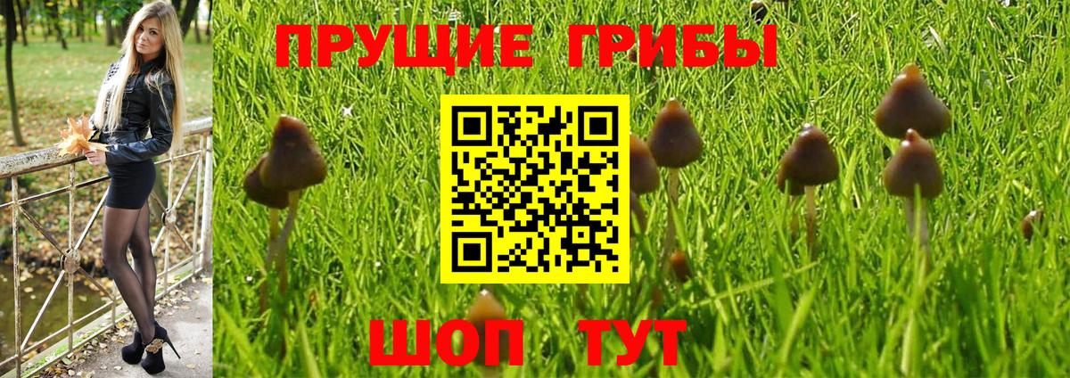 Галлюциногенные грибы MAGIC MUSHROOMS  Вход с VPN  Пушкино 